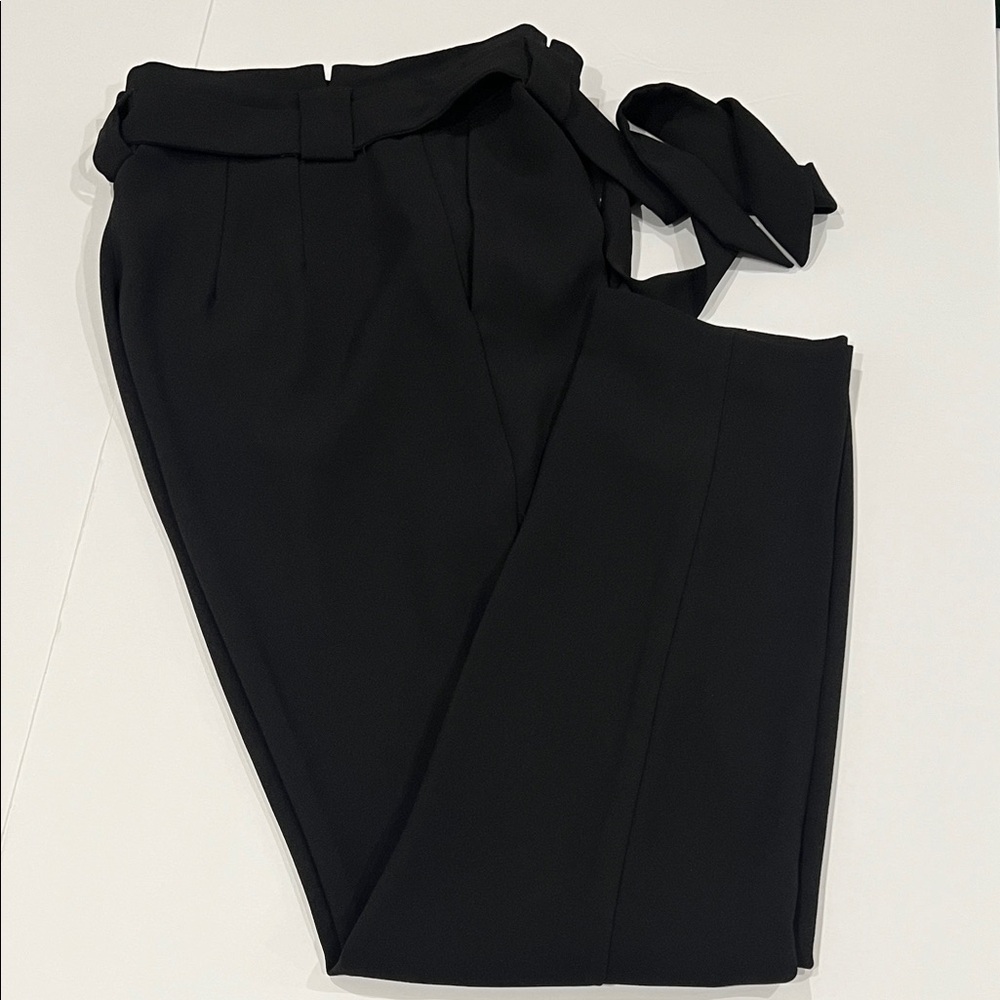 Express Dress Pants